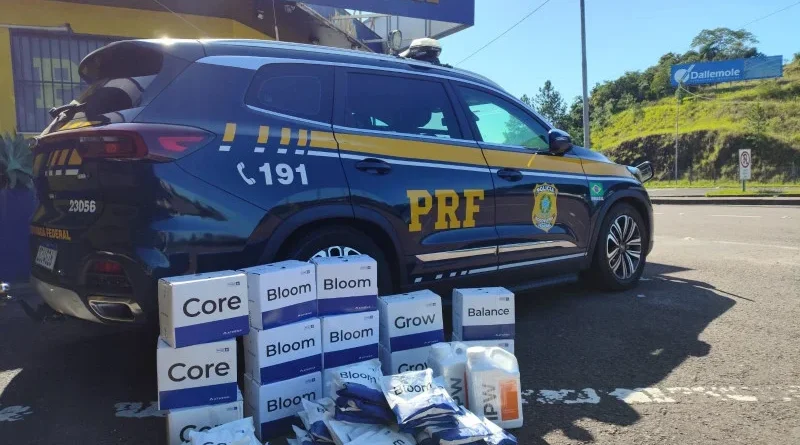 Carga e veículo foram apreendidos - Foto: Divulgação/PRF