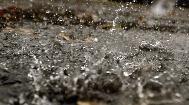 Defesa Civil fala sobre retorno do El Niño; veja quando e como o fenômeno afeta o RS Foto: Paulo Pires/GES