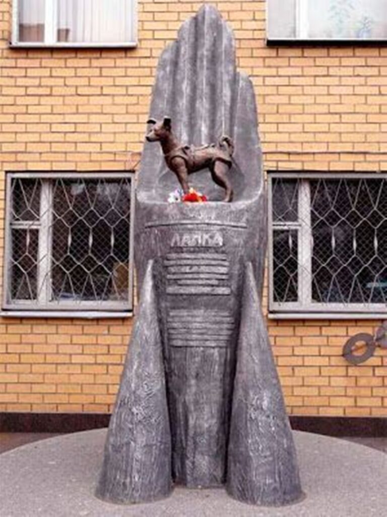 Missão Artemis: web regata história da cachorra Laika que foi à Lua